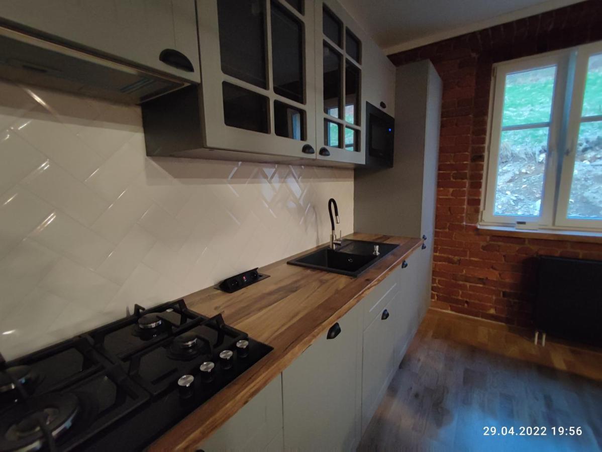 Świeradów-Zdrój Izerska Weranda - Gorski Apartament 120M2 מראה חיצוני תמונה